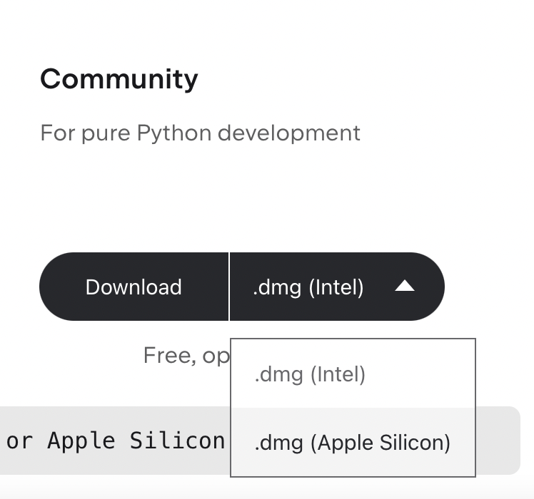 JetBrains website dropdown, showing .dmg Intel and .dmg Apple Silicon. The latter is selected.