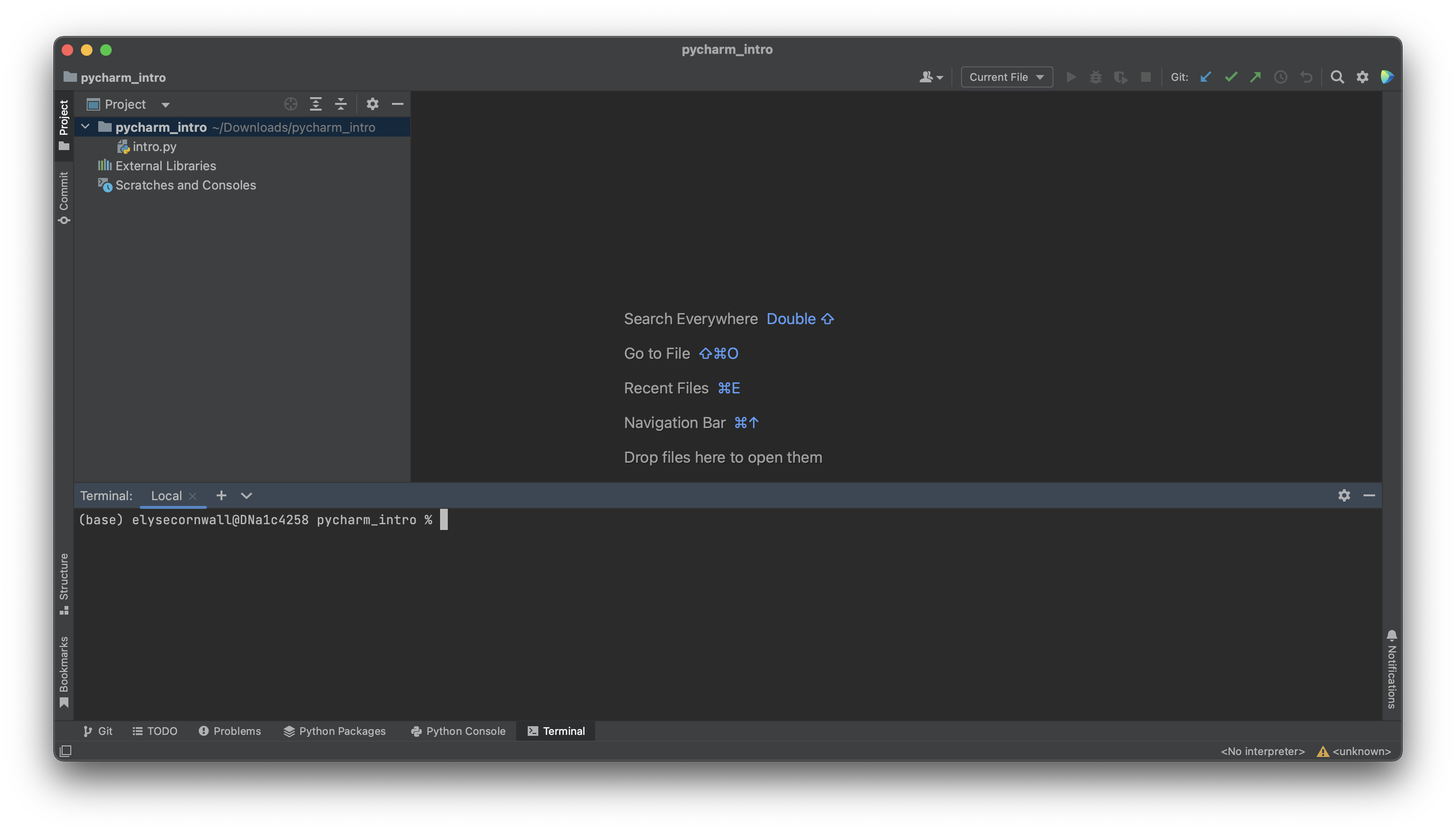 PyCharm window showing off the terminal